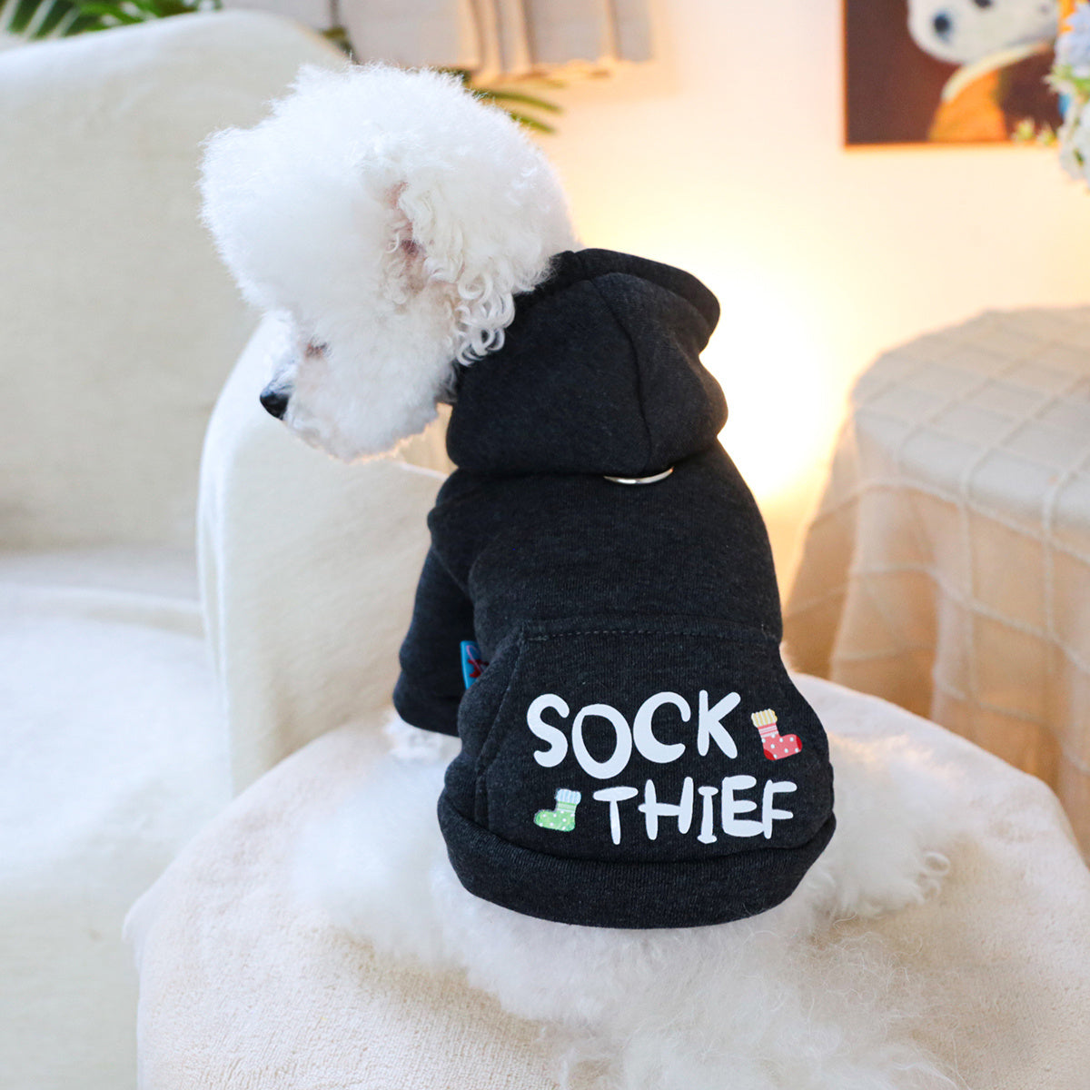 Dog Hoodies - Sock Thief