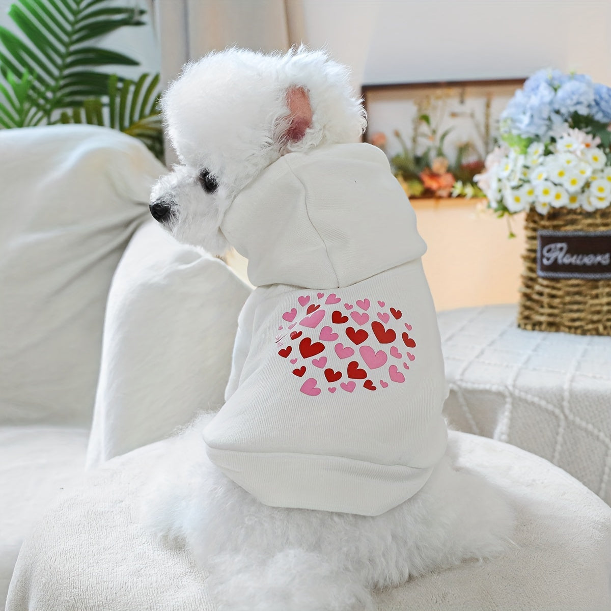Dog Hoodies - Heart