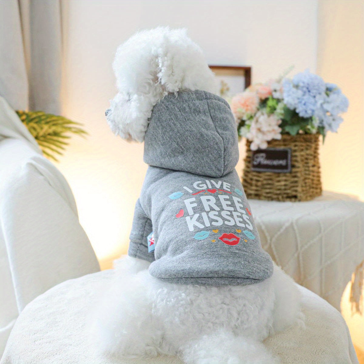 Dog Hoodies - Free Kisses