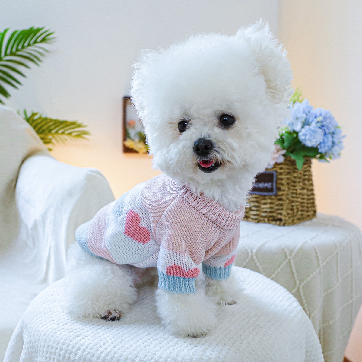 Dog Sweater - Heart