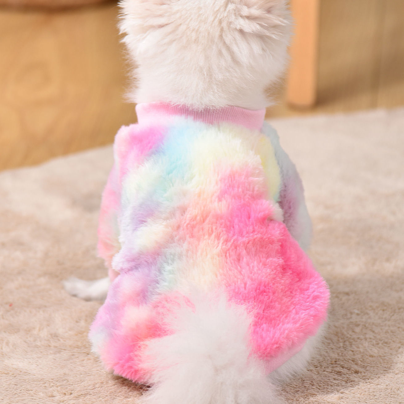 Dog Sweater - Colorful