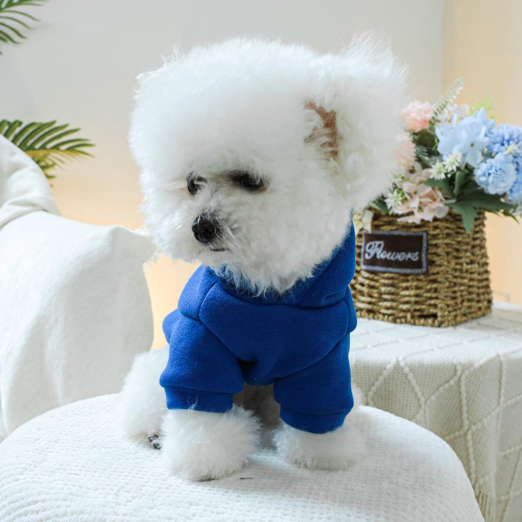 Dog Hoodies - Little Brat