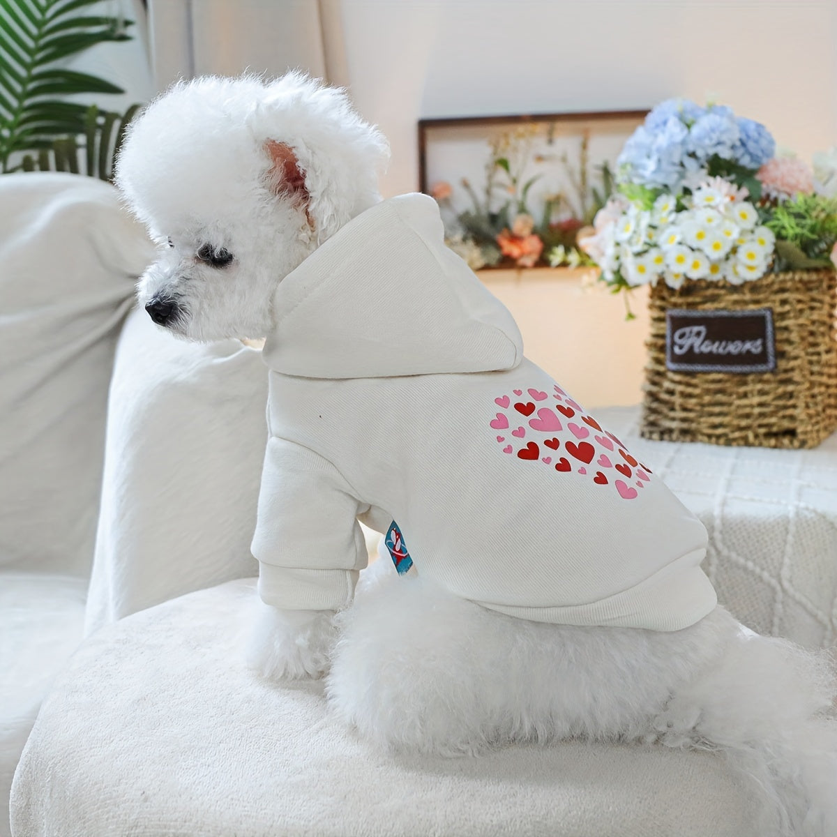 Dog Hoodies - Heart