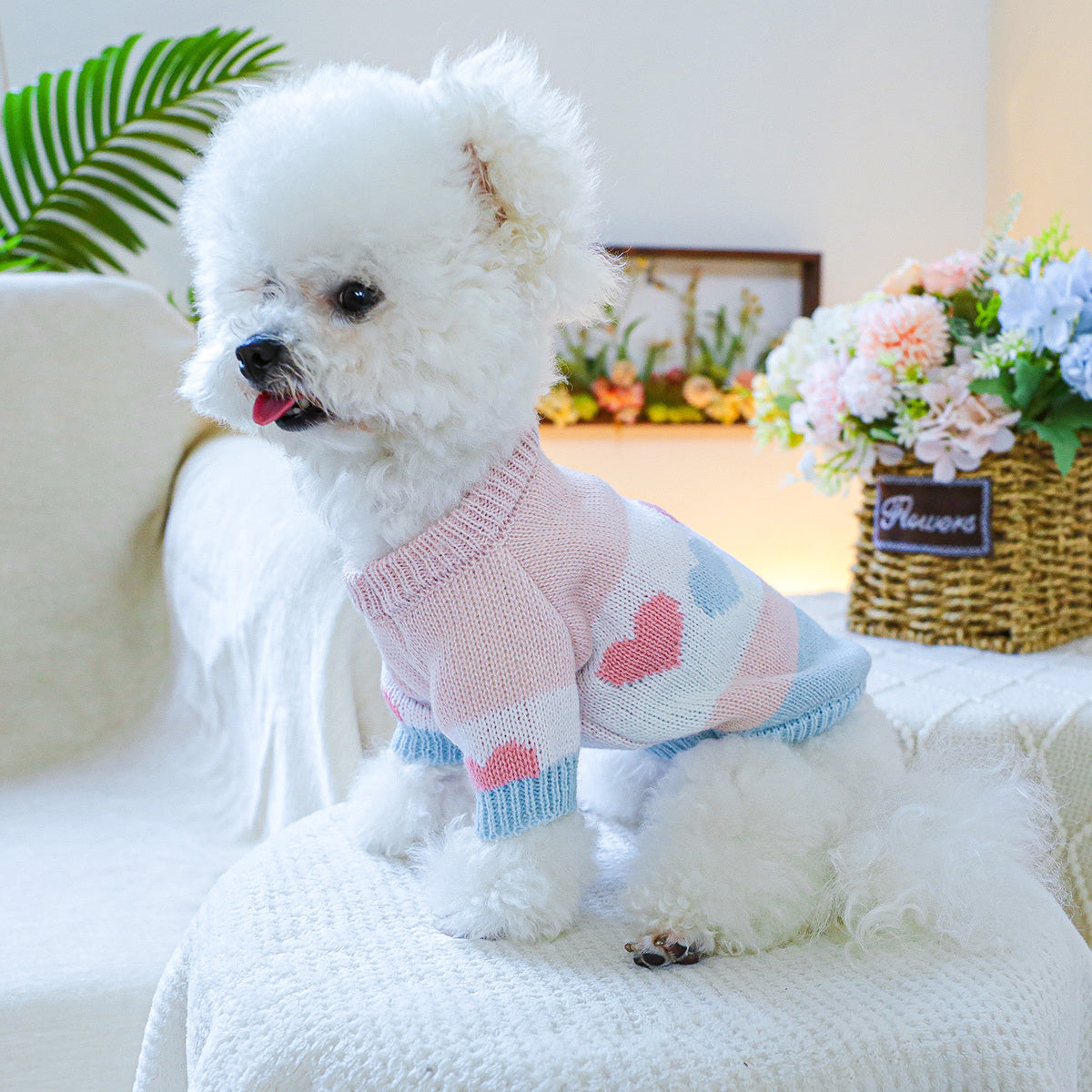 Dog Sweater - Heart