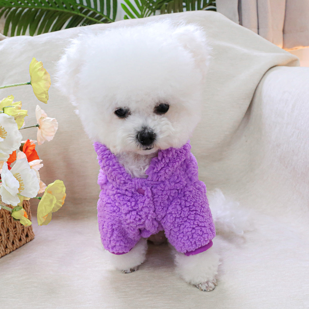 Dog Hoodies - Dinosaur