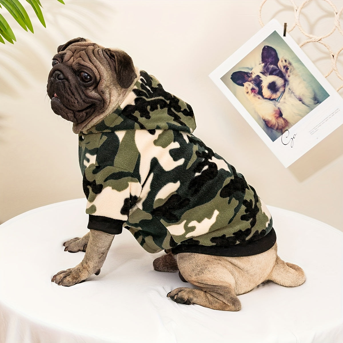 Dog Hoodies - Camouflage