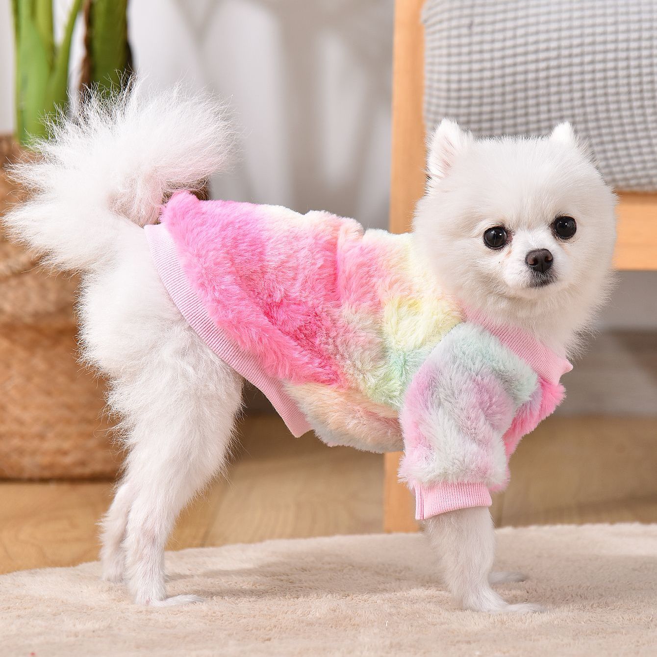 Dog Sweater - Colorful