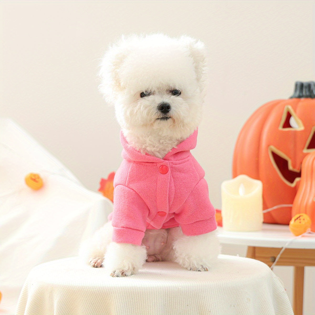 Dog Hoodies - HOCUS POCUS