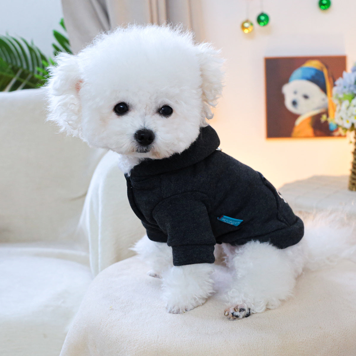 Dog Hoodies - Sock Thief