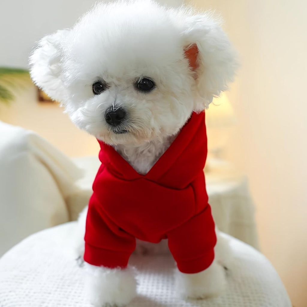 Dog Hoodies - I'm Cute