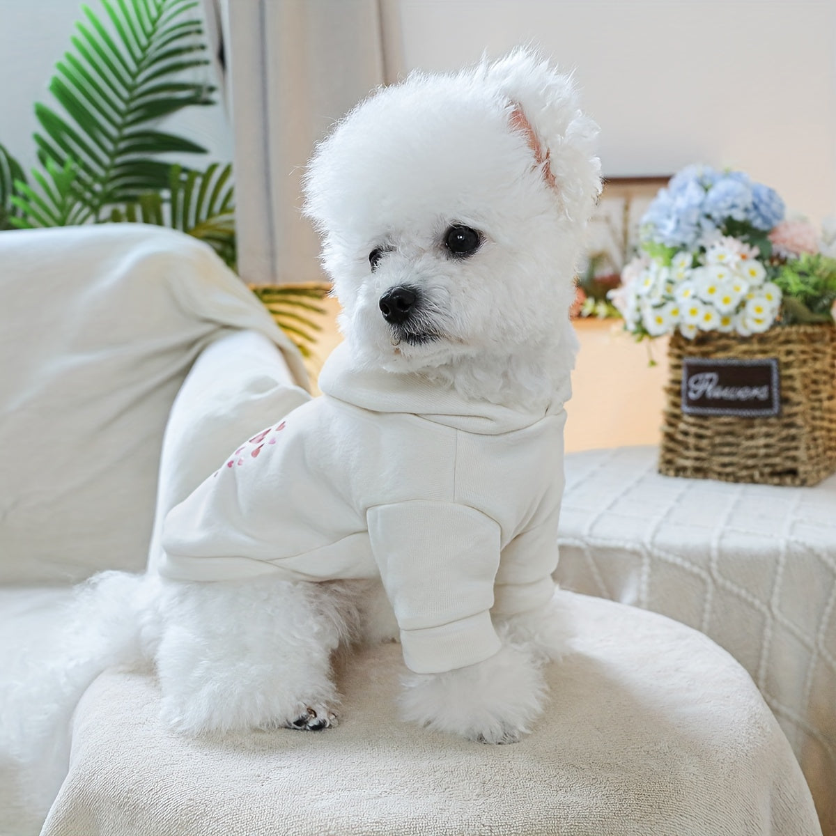 Dog Hoodies - Heart