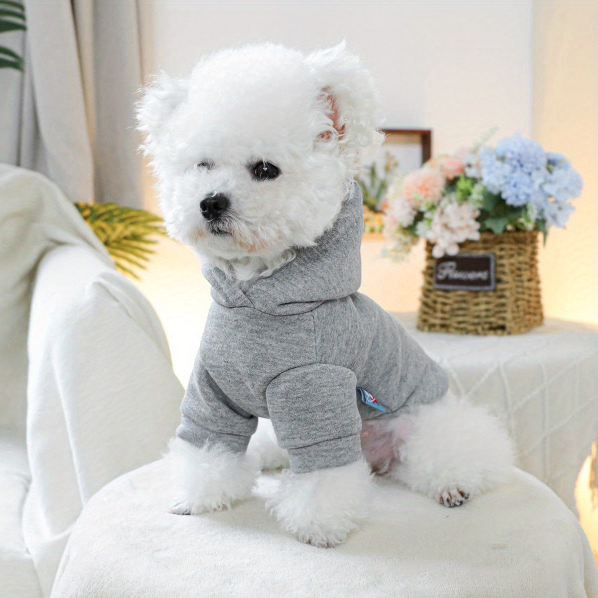 Dog Hoodies - Free Kisses