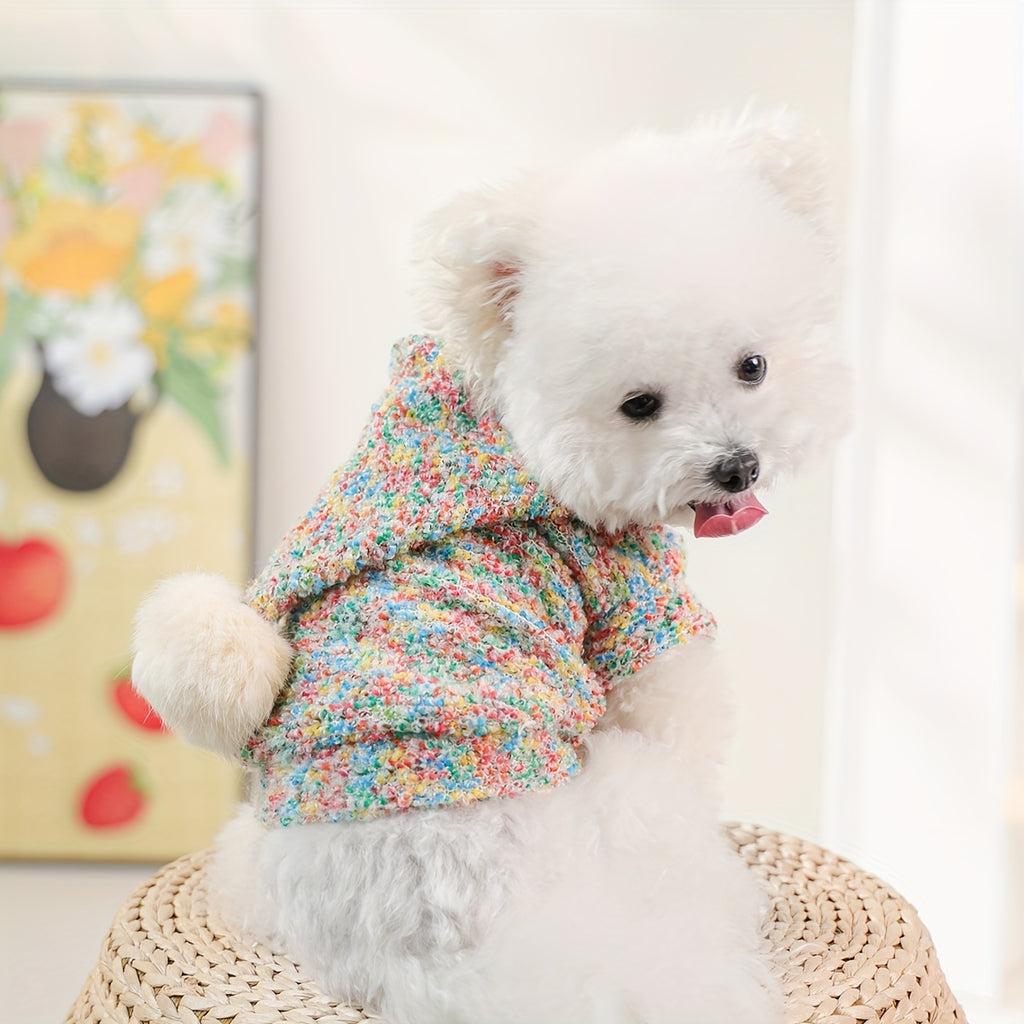 Dog Hoodies