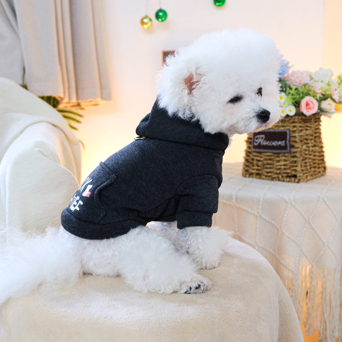 Dog Hoodies - Sock Thief