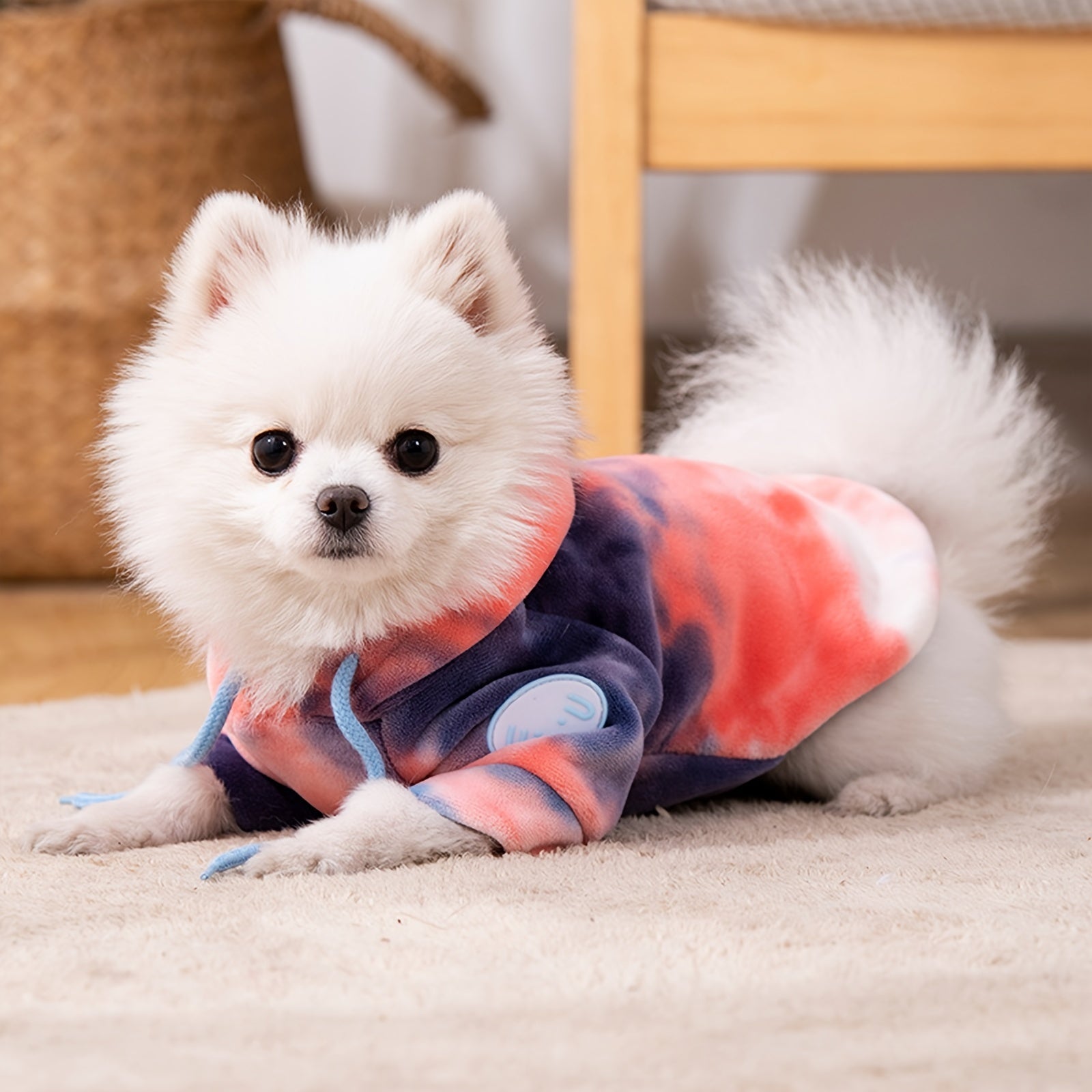Dog Hoodie - Colorful