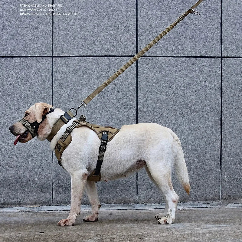 Tactical Trailblazer Harness