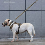 Tactical Trailblazer Harness