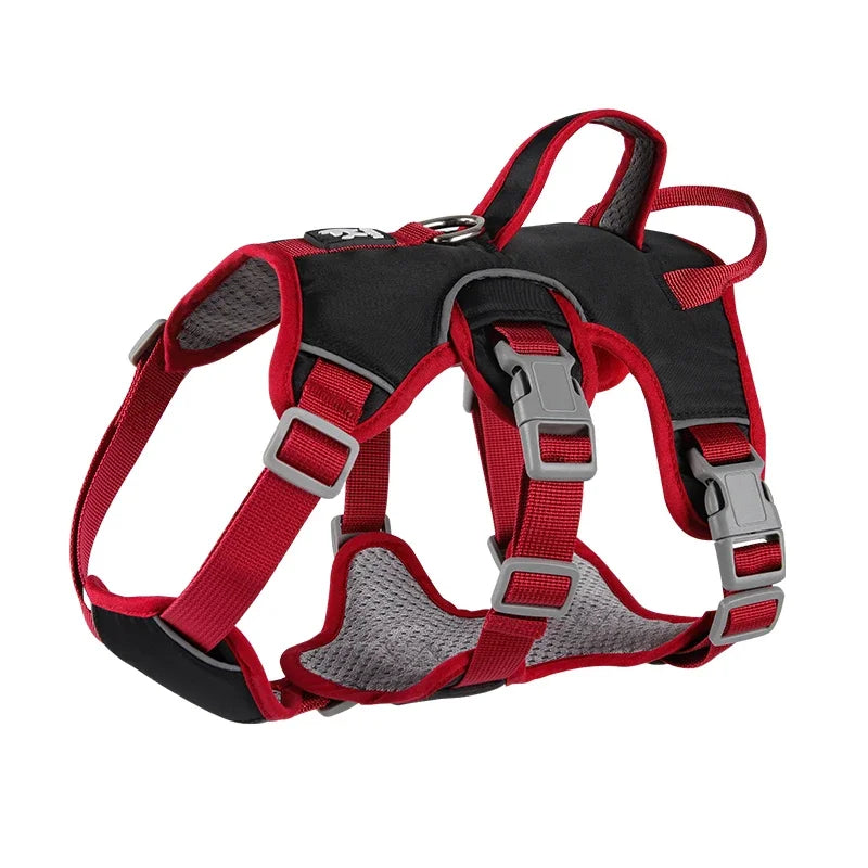 Perfect Contour Fit Harness