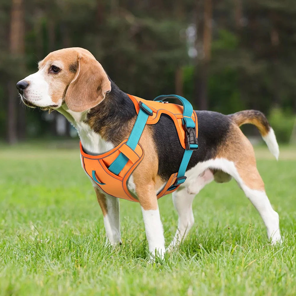 Cool-Breeze Harness