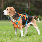 Cool-Breeze Harness