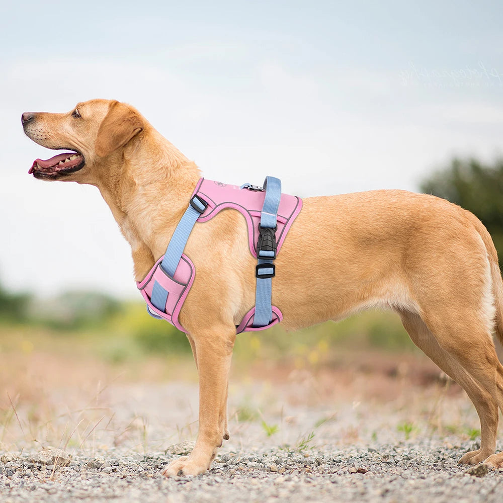 Cool-Breeze Harness