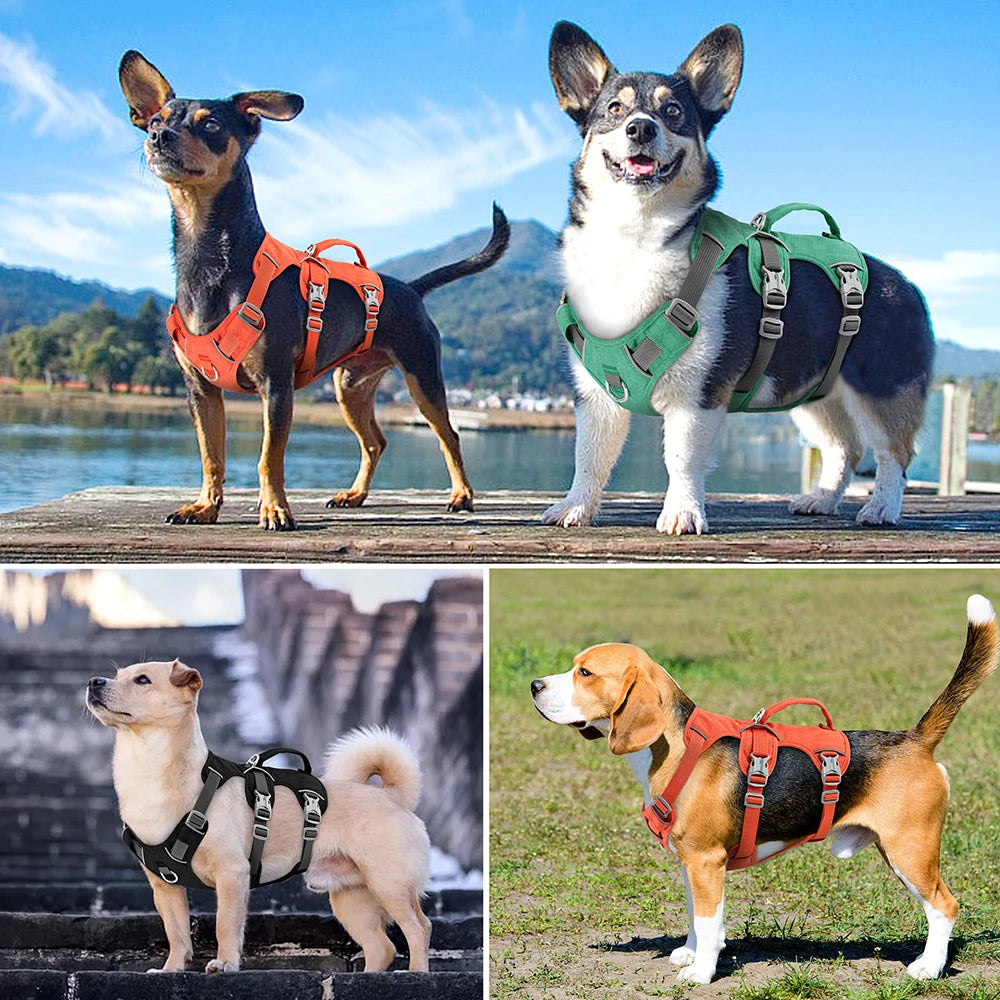 Dog Harness - Secure Escape
