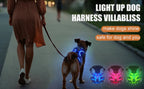 Luminous Joy Harness