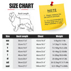 AlpineGuard Windproof Winter Jacket