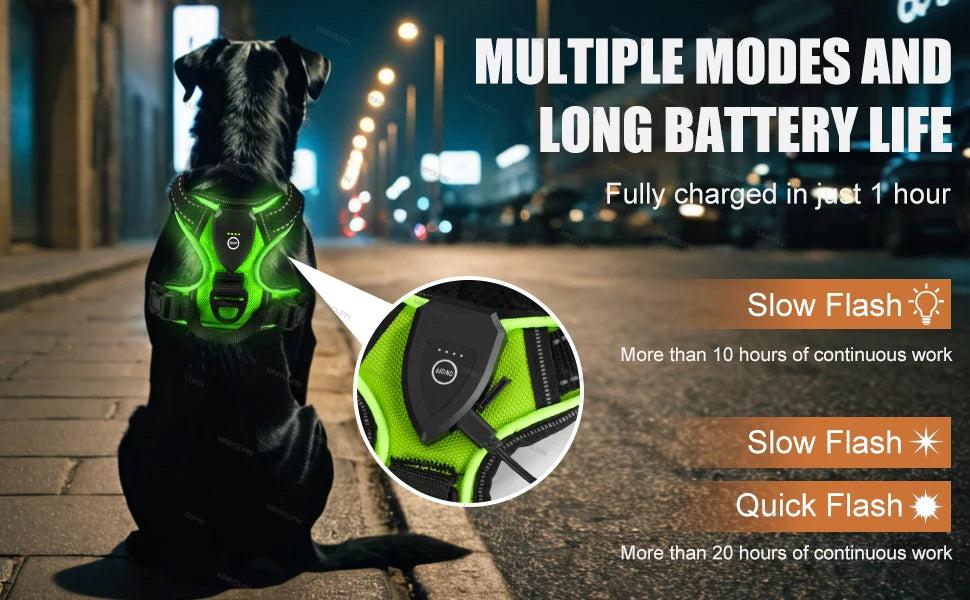 Luminous Joy Harness