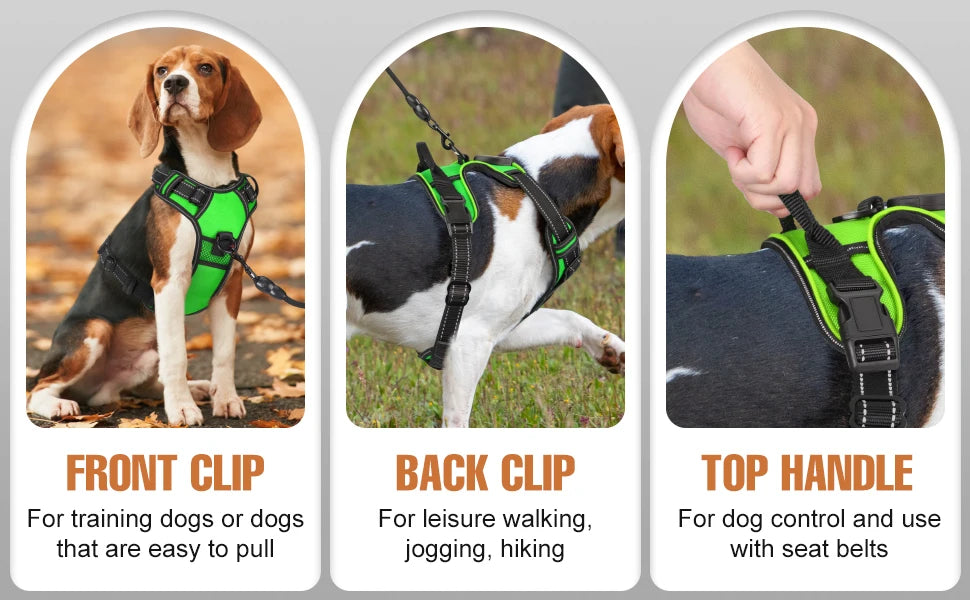 Luminous Joy Harness