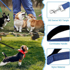 Happy Trails Nylon Leash (5ft/1.5m)