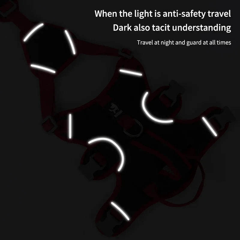 Perfect Contour Fit Harness