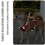 Comfort Vest Pro Harness