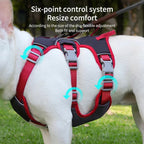 Perfect Contour Fit Harness