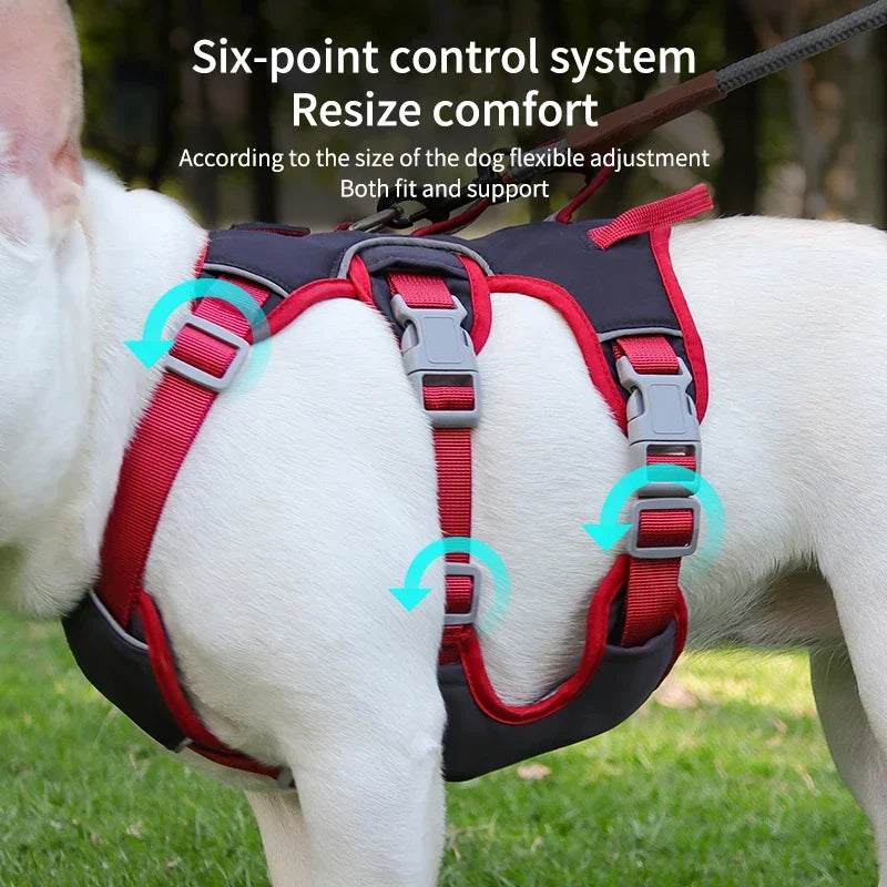 Dog Harness - Perfect Contour Fit