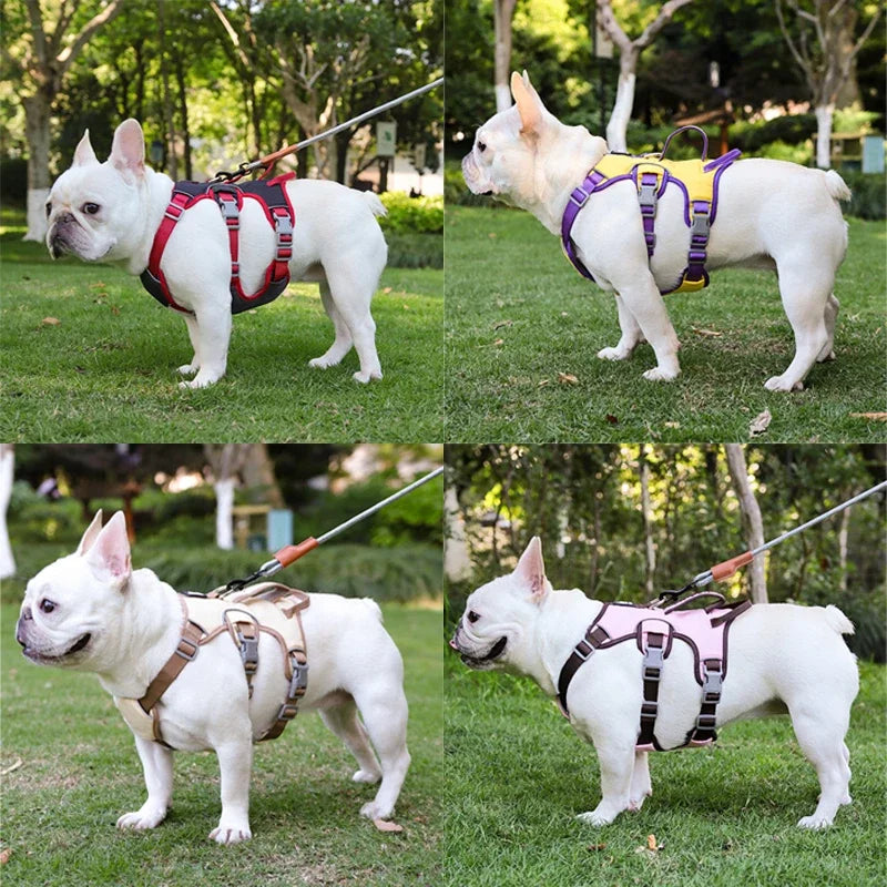Perfect Contour Fit Harness