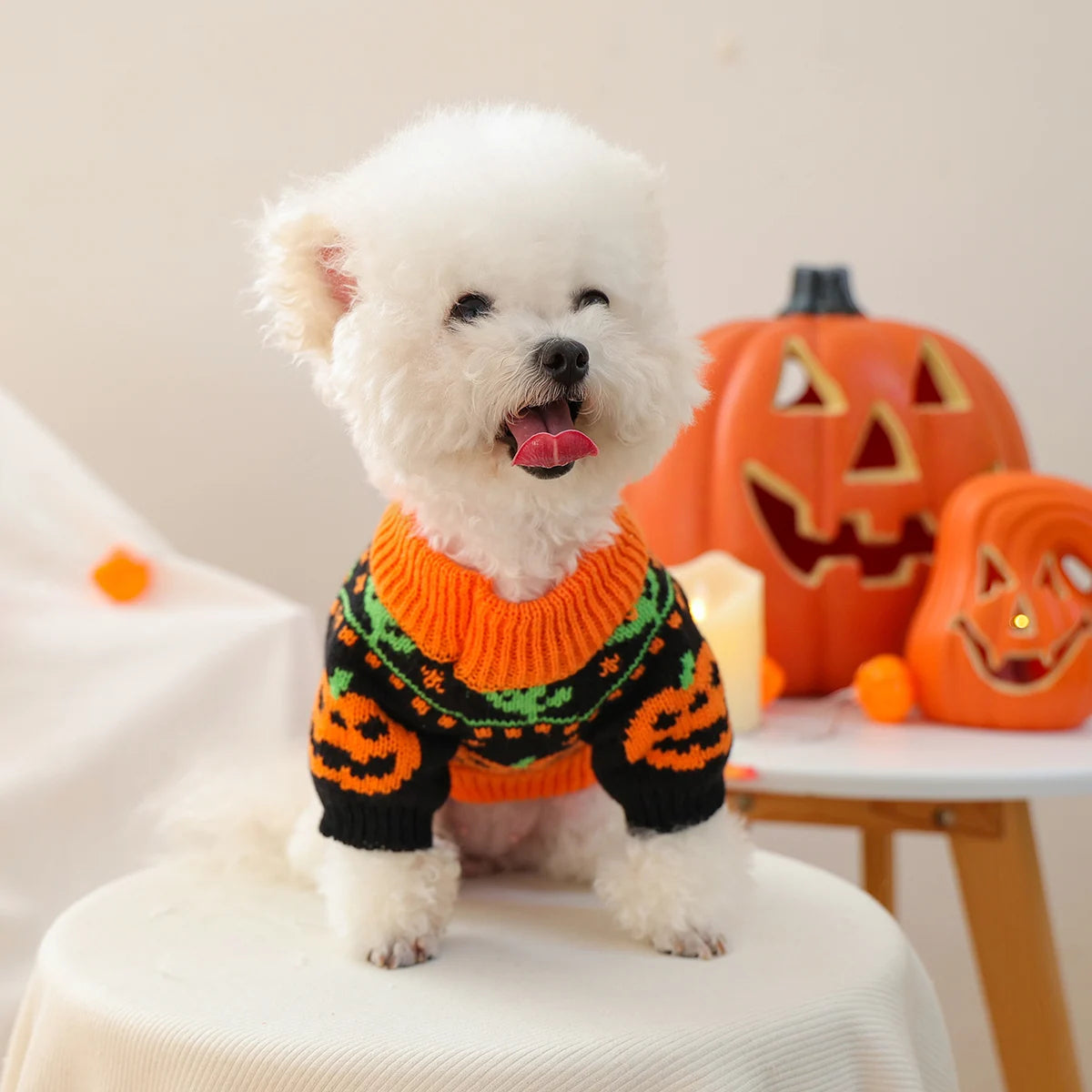 Halloween Dog Sweater - Pumpkin