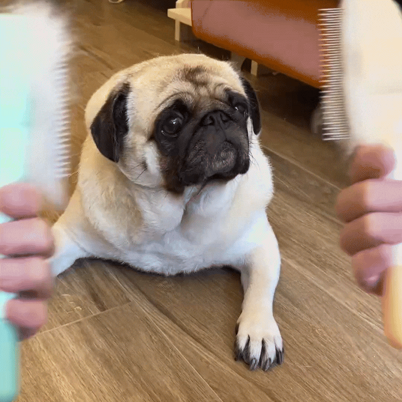 Self-Cleaning Slicker Brush - Easy Fur Removal for Dogs & Cats