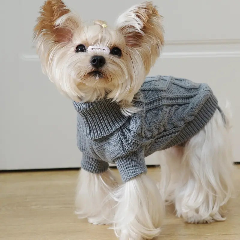 Dog Sweater