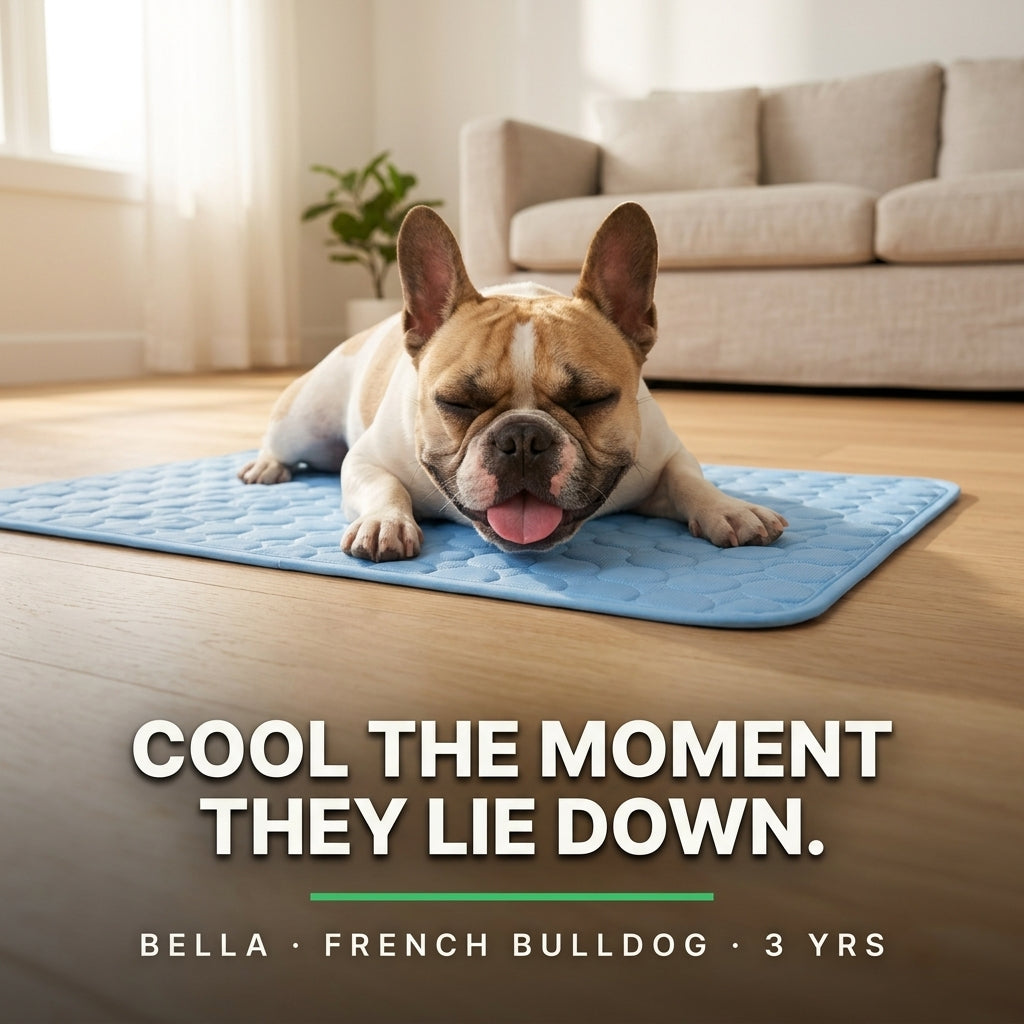 Pekopets ChillPad™ Self-Cooling Dog Mat — Gel-Free Q-Max Fabric, Chew-Safe