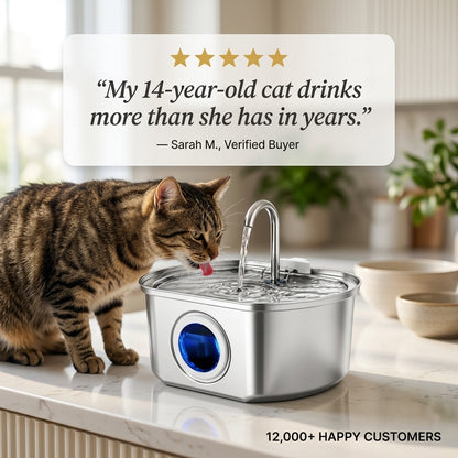 PekoPets™ Cat Water Fountain