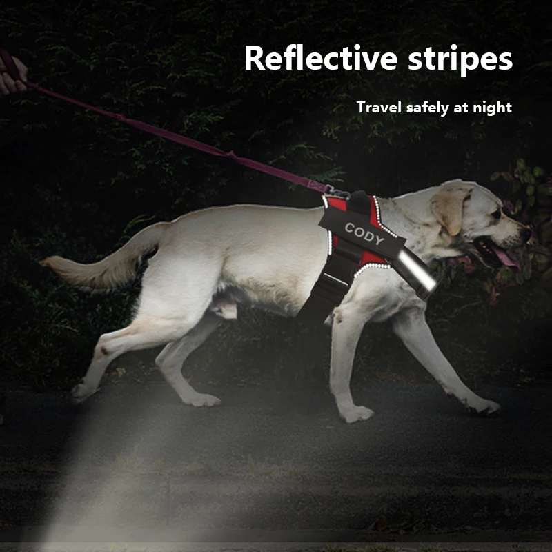 Personalized No Pull Dog Harness