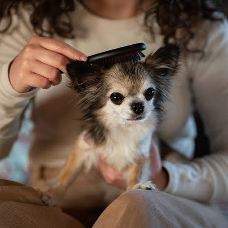 Grooming Essentials