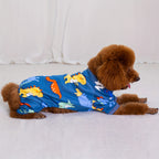 Dinosaur Pajama