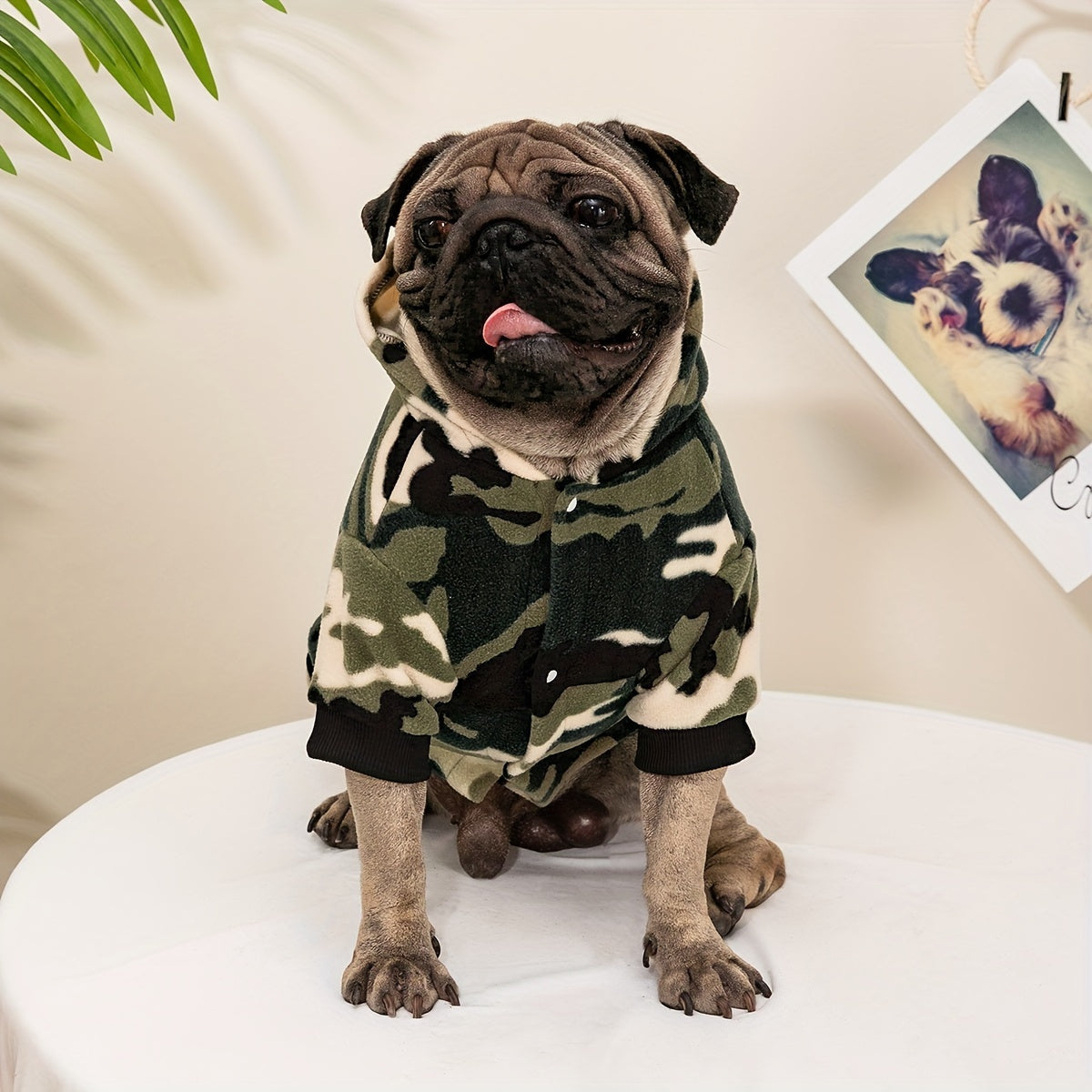Dog Hoodies - Camouflage