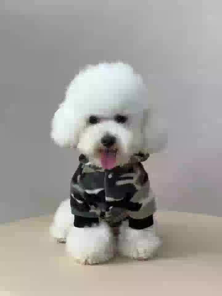 Dog Hoodies - Camouflage