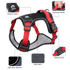 Expedition Gear Harness