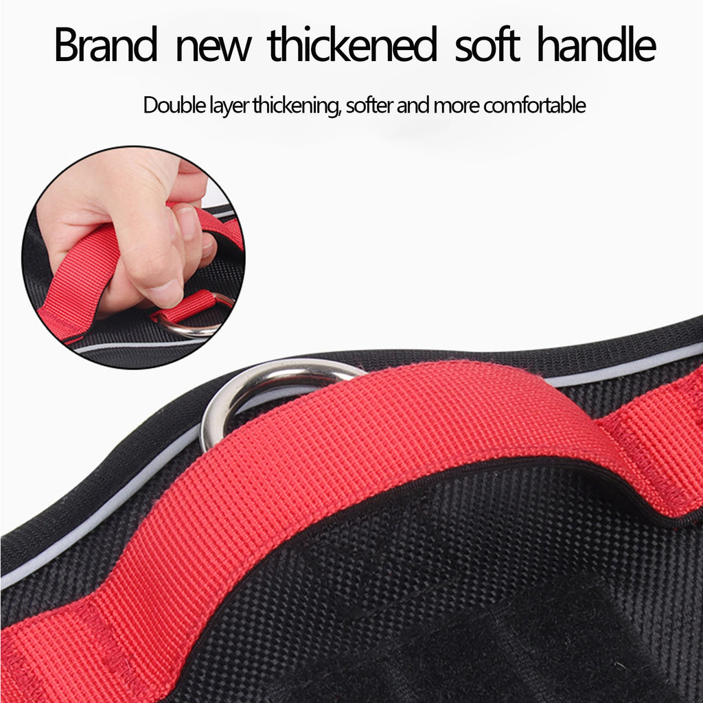 Expedition Gear Harness