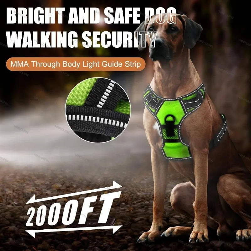Dog Harness - Luminous Joy
