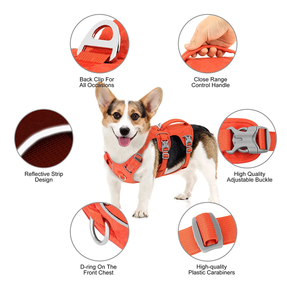 Secure Escape Harness